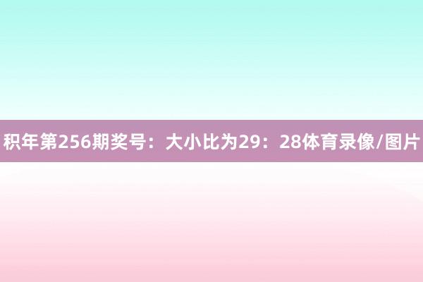 积年第256期奖号：大小比为29：28体育录像/图片