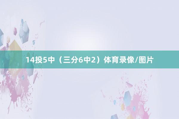 14投5中（三分6中2）体育录像/图片