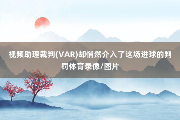 视频助理裁判(VAR)却悄然介入了这场进球的判罚体育录像/图片